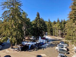 Parking in the forest