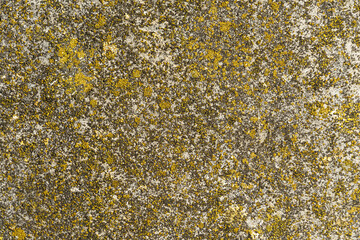 stone or concrete for background, texture