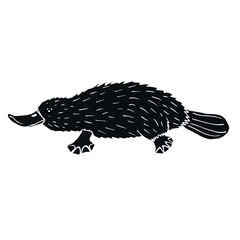 Vector hand drawn doodle sketch black Platypus duckbill isolated on white background