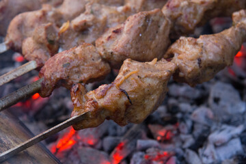 Schaschlick in Natur