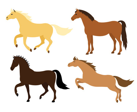 Vector set of flat cartoon hand drawn horse isolated on white background
