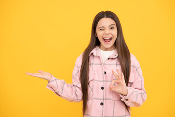 winking happy teen girl wear pink checkered shirt presenting product, copy space, product proposal