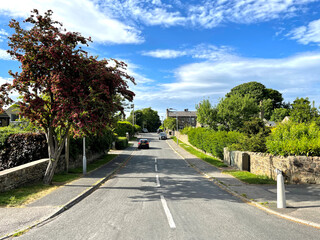 Looking along, Carlton Road, with trees, houses, and a blue sky in, Keighley, Yorkshire, UK