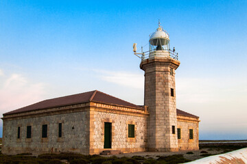 Fototapeta na wymiar Punta Nati Leuchtturm auf Menorca