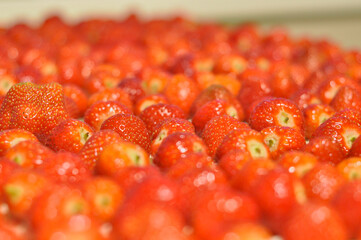 red, berry background from strawberry close-up. freshness and sweet