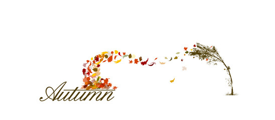 A bare tree is autumn with falling leaves. The tree bends from the wind and foliage flies from it. Vector illustration
