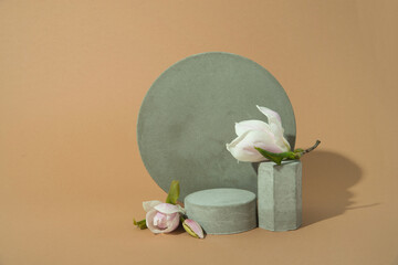 minimalist mockup with concrete shapes and magnolia
