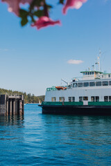 ferry boat leaving dock with pink flowers in summer 