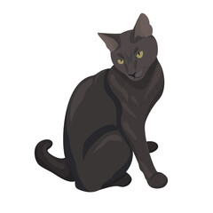 Elegant black cat. Cute cat sitting. Flat illustration isolated on white background for your design. Nice pet.