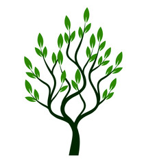Green shape of Tree on white background. Vector illustration.