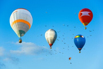 balloons fly into the sky to birds