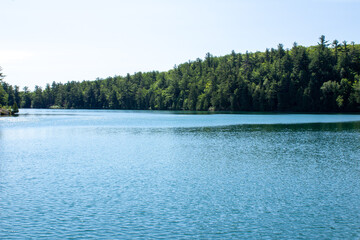 lake and forest