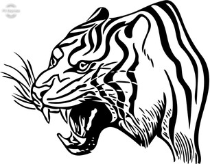 Tiger head, tiger tatoo.