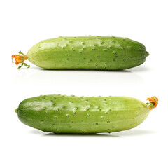 Green cucumber on the white background