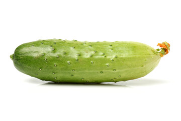Green cucumber on the white background