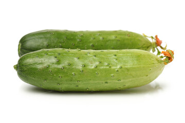 Green cucumber on the white background