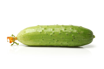 Green cucumber on the white background