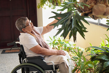 woman in a wheelchair observing the plants