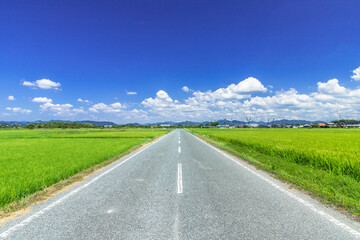 真夏の青空と、田舎の一本道