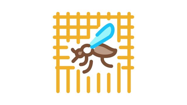 Mosquito On Grid Icon Animation. color Mosquito On Grid animated icon on white background