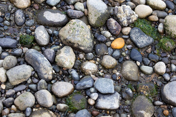 multi colored rocks in the sand at low tide