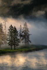 Fototapeta na wymiar Landscape photo of fog hangs over trees along a river with light rays shining through in US National Park 04