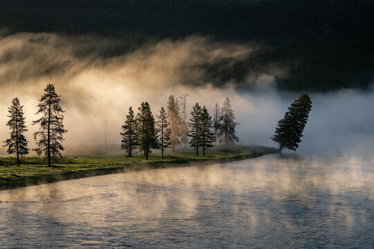 Landscape photo of fog hangs over trees along a river with light rays shining through in US National Park 06