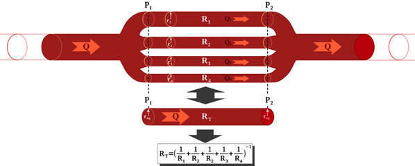 Resistance of a network of parallel vessels
