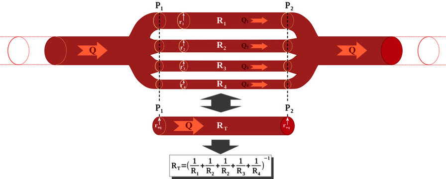 Resistance of a network of parallel vessels