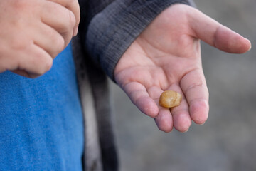 Mans hand holding shiny tumbled stone found on shoreline of washington