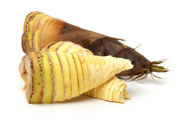 Bamboo shoot on the white background