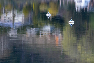 two white floating buoys out in the puget sound
