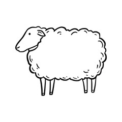 Hand drawn sheep. Doodle sketch style. Drawing line simple sheep icon. Isolated vector illustration.