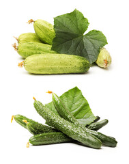 cucumbers with leaves and flowers