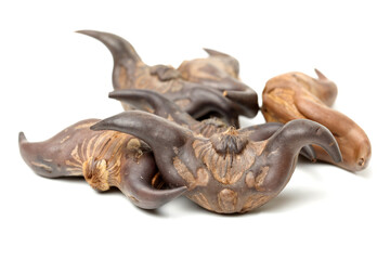 Water chestnut (Trapa bispinosa Roxb) on white background 