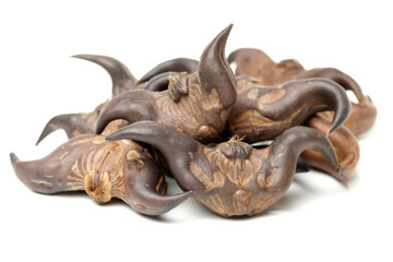 Water chestnut (Trapa bispinosa Roxb) on white background 