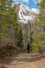 Man hiking on trail heading to St Elias Lake in Kluane National Park during May with backpack and huge mountain peak with snow in the background. Epic Canadian scenic view. 