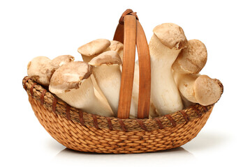 King oyster mushroom Pleurotus eryngii on white background 