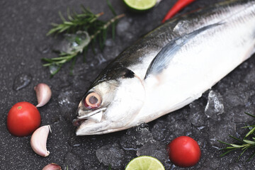 Fish on ice for cooking food in the restaurant, Fresh fish raw torpedo scad with lemon herb and spices, mackerel scad top view
