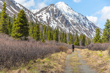 Fototapeta na wymiar Man on hiking trail in northern Canada during spring time with full backpack, huge snow capped mountains in the background and boreal forest. St Elias Lake in Kluane National Park, Yukon Territory. 