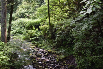 日本　群馬のパワースポット　榛名神社　夏の風景