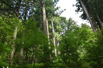 日本　群馬のパワースポット　榛名神社　夏の風景