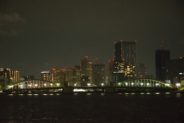 Obraz premium 東京の夜景