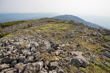 The top of the rocky mountain Golets. Kurumnik on the top of the mountain in the summer. Mountain landscape.