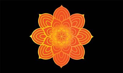 orange flower on black background