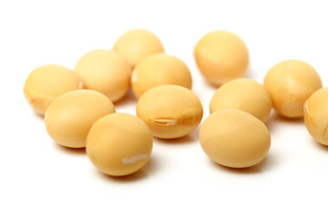 soybean isolated on white background 