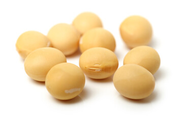 soybean isolated on white background 