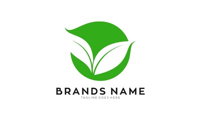 Modern leaf illustration vector logo