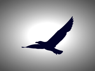 Seagull Silhouette. Isolated Vector Animal Template for Logo Company, Icon, Symbol etc