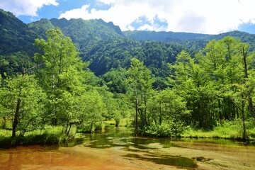 信州 上高地　夏景色